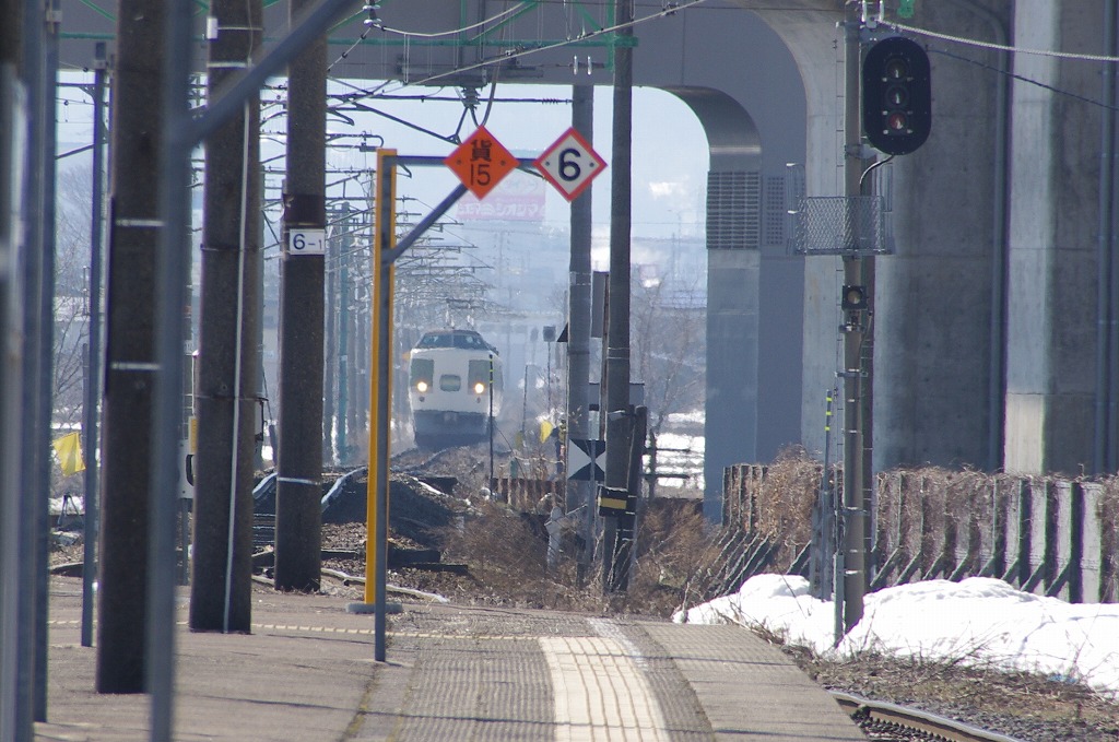 20130315wakinoda3.jpg