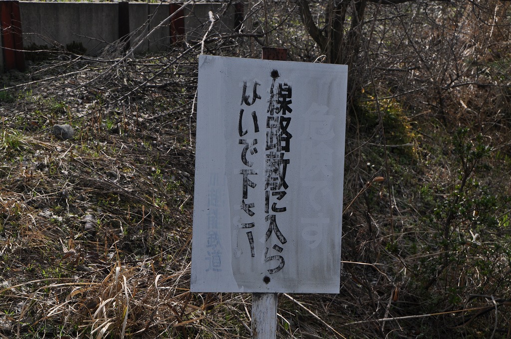 20130319no202.jpg