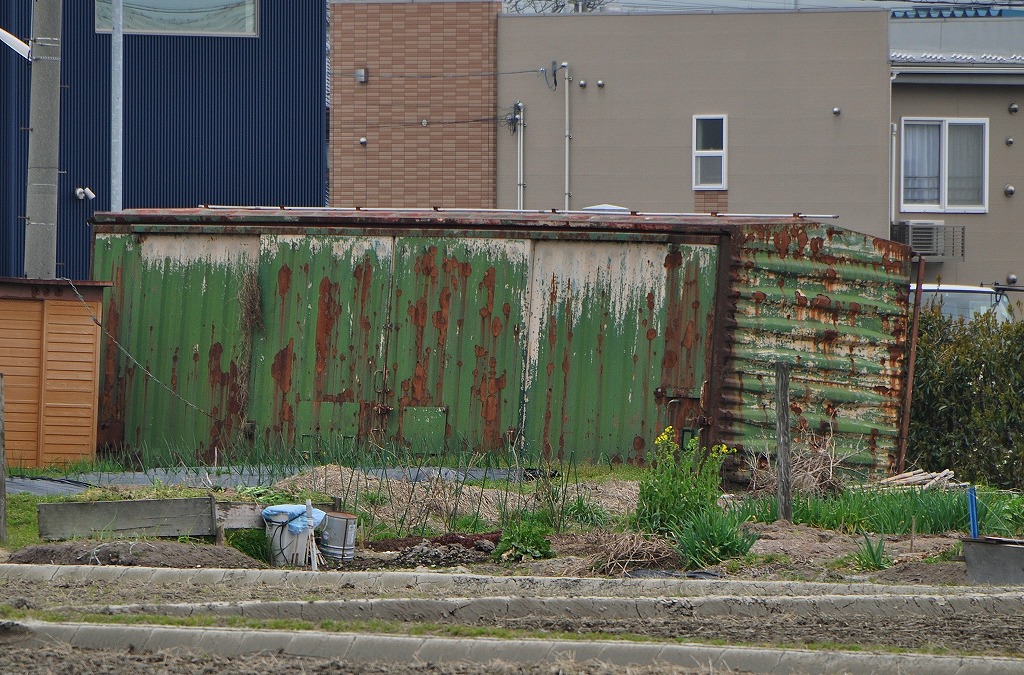 20130331wamu180184.jpg