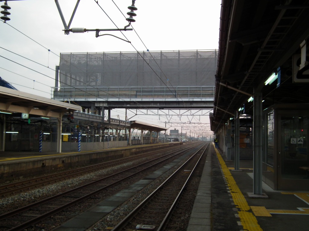 20140203isurugi.jpg
