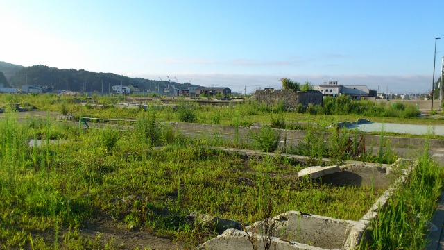 DSC_8210 (640x360)