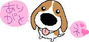 aaありがとワン