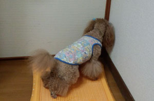 Roseのちっち事情1