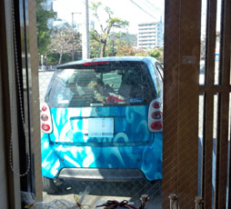 SMART Nonが見えるよ~