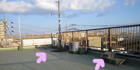 屋上GO!4