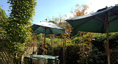 Tea Garden