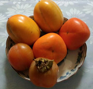 柿三種