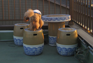 Roseの屋上GO10