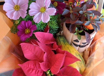 ハロウィン寄せ植え