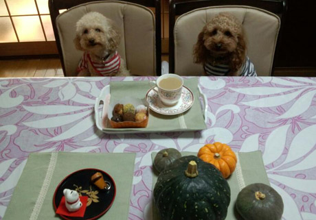 はっぴーハロウィン
