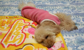 伸び~ Nonty
