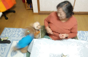 お座り~1