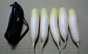 あなたの足みたーい