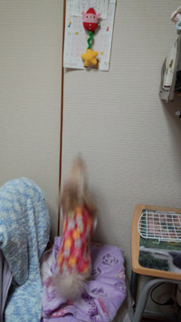 ③シャーンプのーん