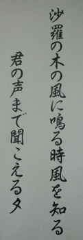 俳句c