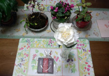 献花 虎屋羊羹