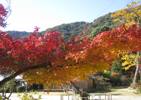 秋の景色