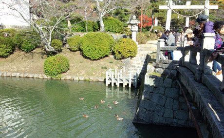 お掘池