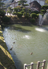 秋の景色3