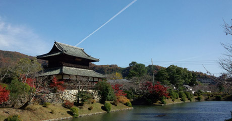 秋の日の1枚