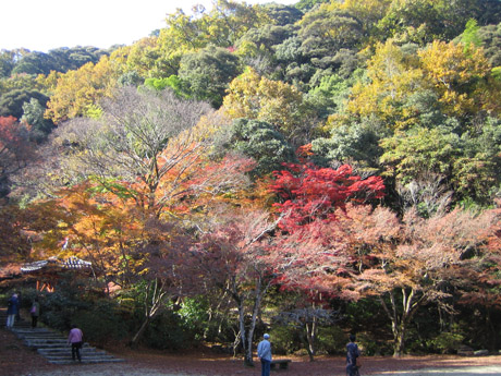 紅葉谷 六角亭