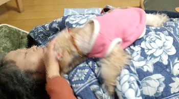 ばぁばに甘えん坊1