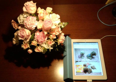 iPad