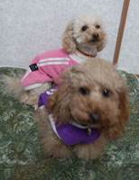 Take1
