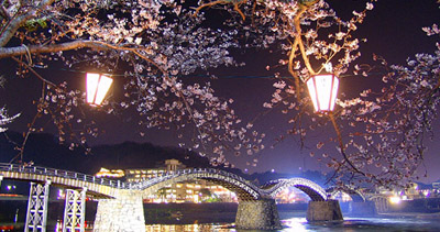 桜と錦帯橋