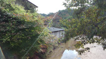 11月妹背