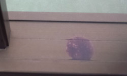 血痕3