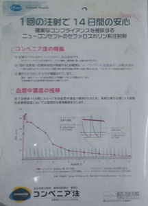 抗生剤注射