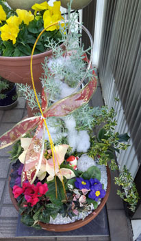 寄せ植えa