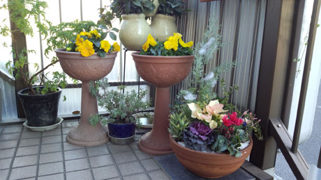 外階段 寄せ植え