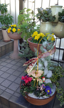 外階段 寄せ植え
