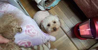 のんちゃん大丈夫~?