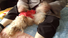 ふにふに1