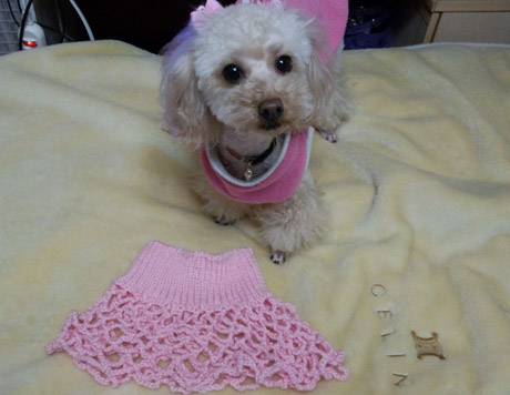 Nonののん?