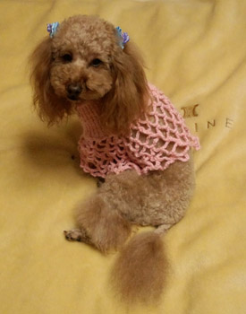 Rose モデル中