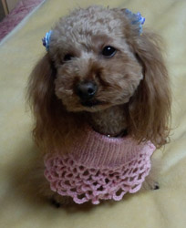 ネックウォーマーRose1