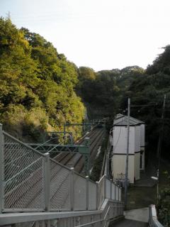 121028_KQ_taura_1.jpg