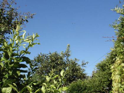 2012_0926_074712-P9260032_convert_20121001140638.jpg