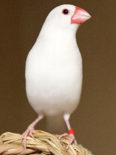 まだ毛がないなぁ~。