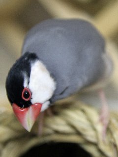 暇だなぁ~。