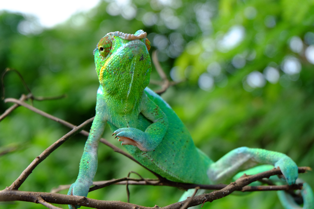 DSCF5173.jpg