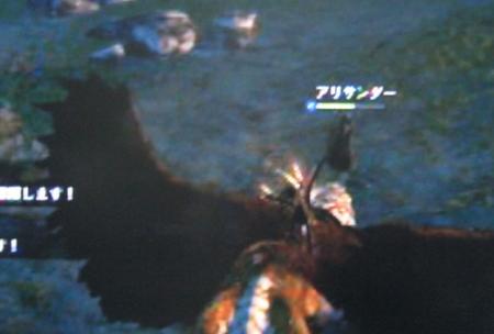 miyu_6813.jpg