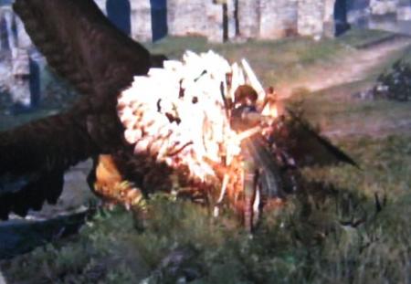 miyu_6911.jpg