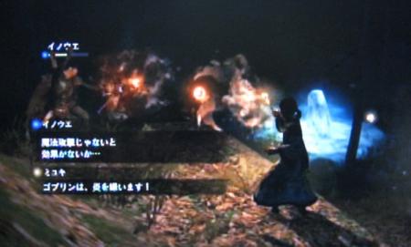 miyu_7345.jpg