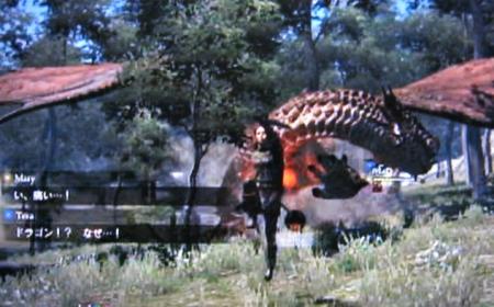 miyu_7497.jpg