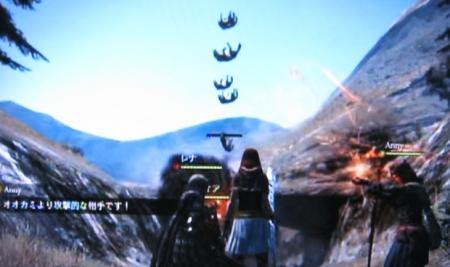 miyu_7809.jpg